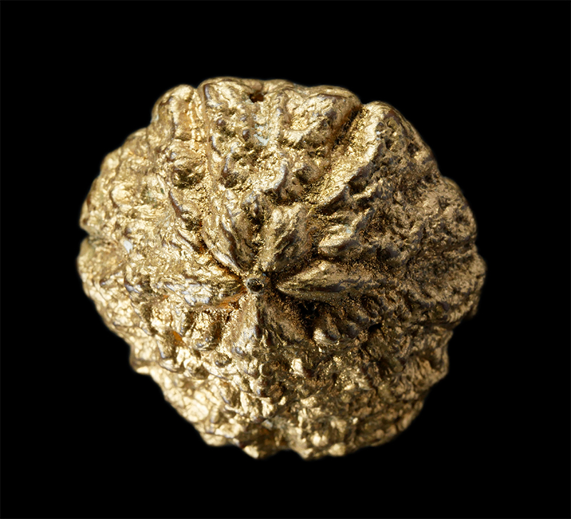 21Jul24 (122)p.jpg - พระพุทธเจ้าห้าพระองค์ ปิดทอง หลวงปู่จอม นาคเสโน(พระครูอาทรธรรทวินัย) วัดป่าบ้านดอนคู่ ต.น้ำปลีก อ.เมือง จ.อำนาจเจริญ | https://kamulet.in.th